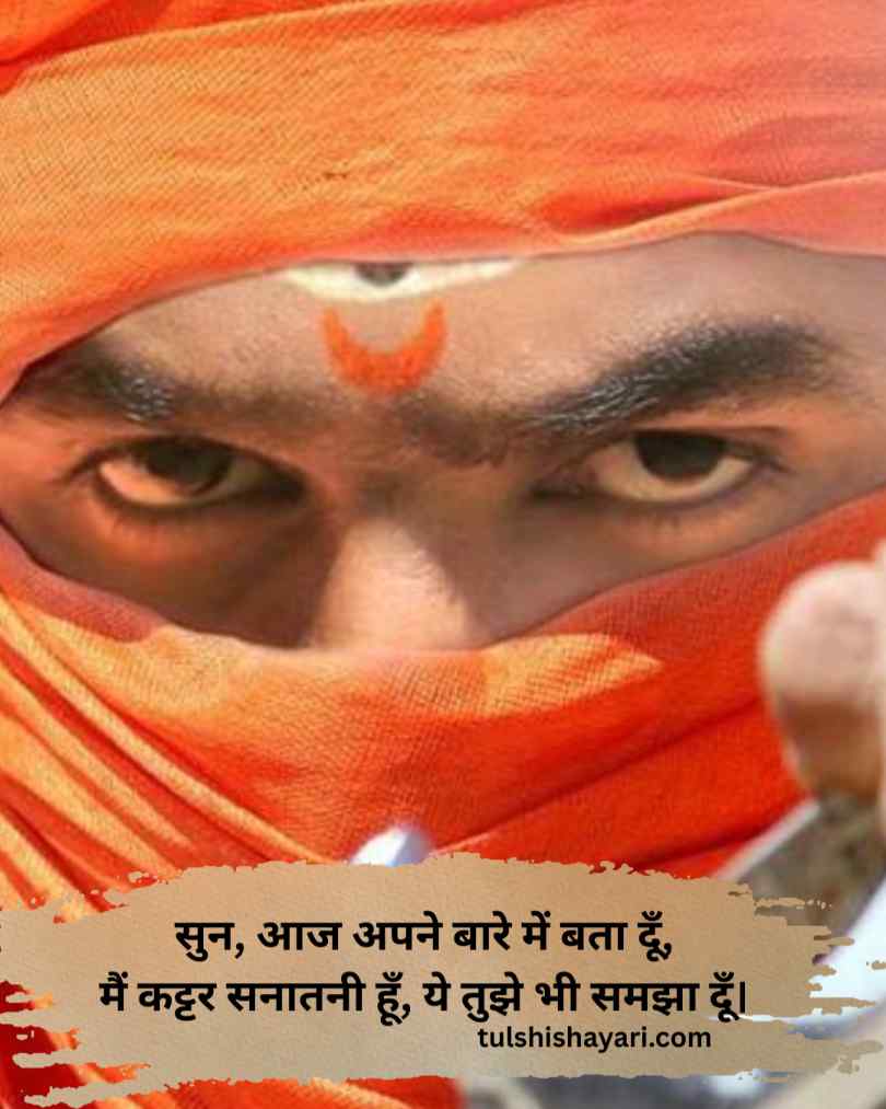कट्टर सनातनी शायरी इन हिन्दी