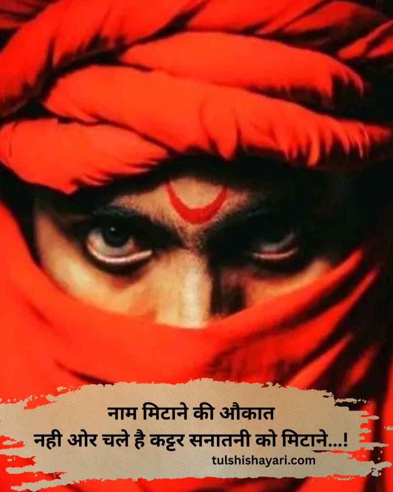 कट्टर सनातनी शायरी इन हिन्दी