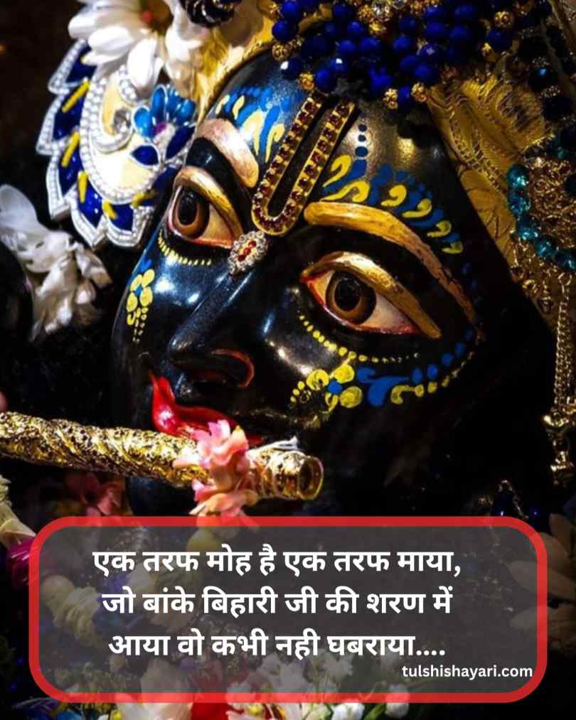 एक तरफ मोह है एक तरफ माया, जो बांके बिहारी जी की शरण में आया वो कभी नही घबराया….